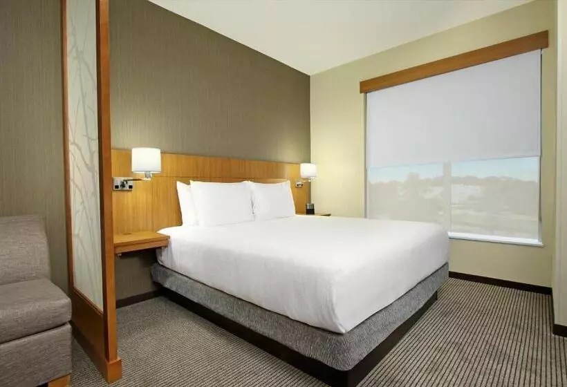 身障者適用スタンダードルーム, Hyatt Place Houston/katy