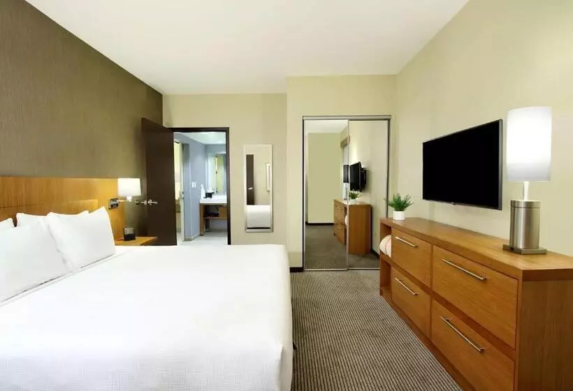 キングサイズベッドのスイートルーム, Hyatt Place Houston/katy