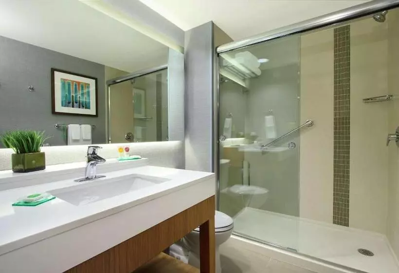 キングサイズベッドのスイートルーム, Hyatt Place Houston/katy