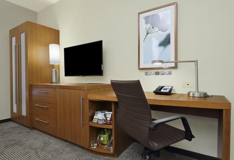 Номер Стандарт Верхний Этаж, Hyatt Place Houston/katy