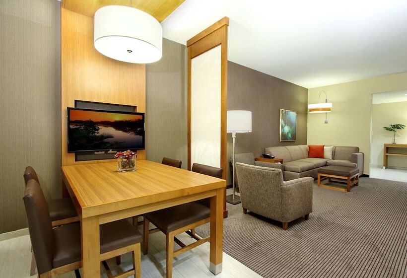 Люкс Адаптированный для Инвалидов, Hyatt Place Houston/katy