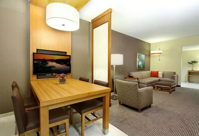 身障者適用スイートルーム, Hyatt Place Houston/katy