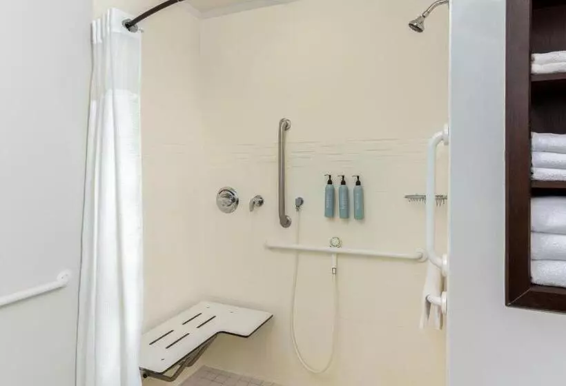 Standard-studio King-vuode, Residence Inn By Marriott Kansas City At The Legends