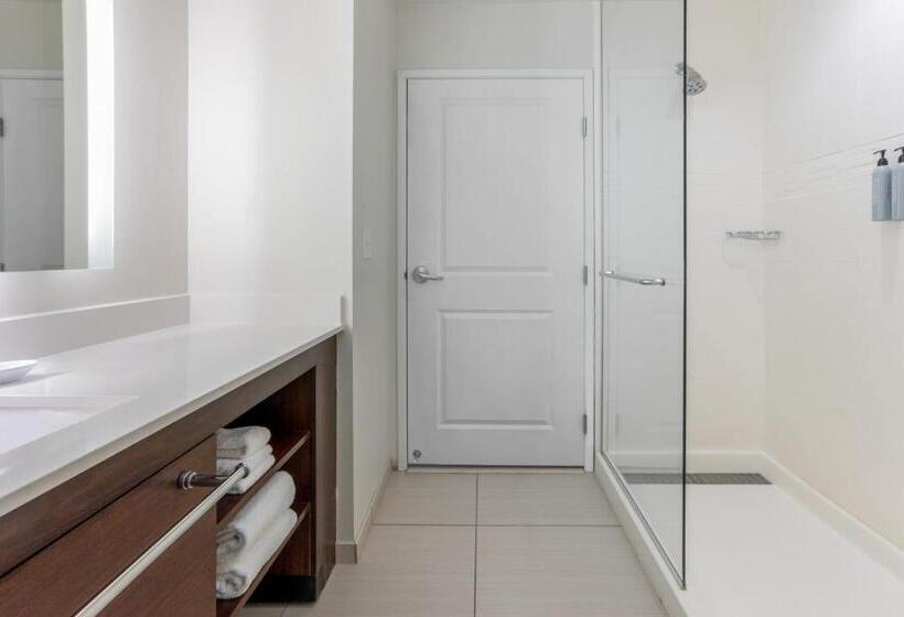 إستوديو قياسى سرير كينج, Residence Inn By Marriott Kansas City At The Legends