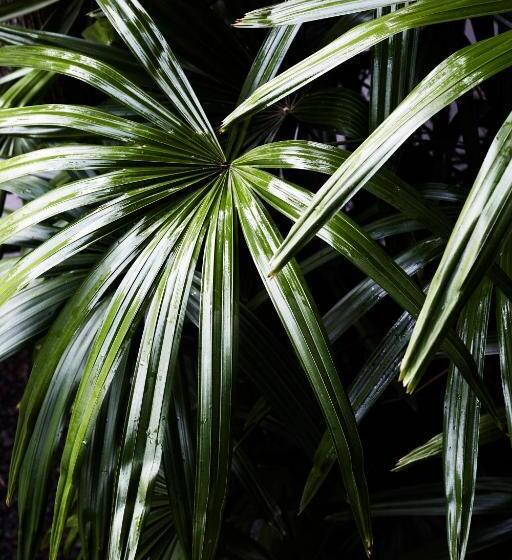 2침실 디럭스 풀빌라, The Villas Of Byron