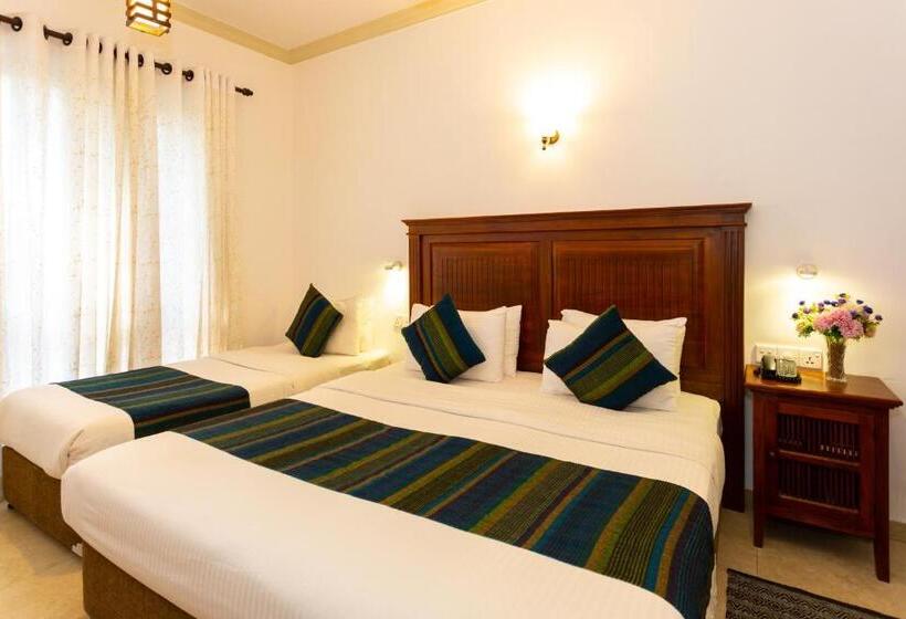 豪华三人间, Yo Kandy