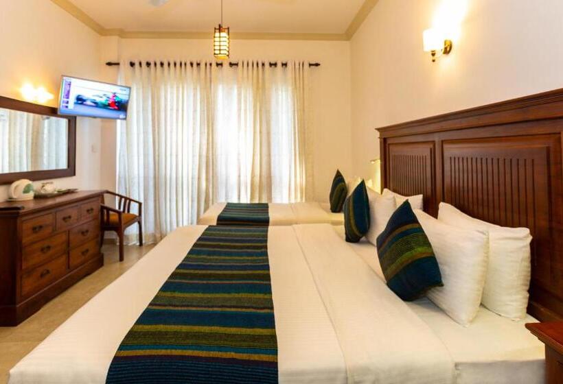 豪华三人间, Yo Kandy