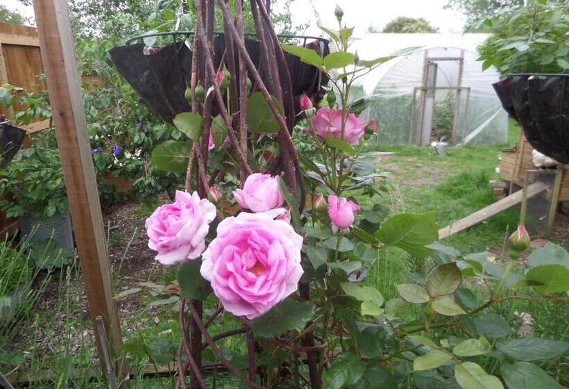 스위트, Walford Court