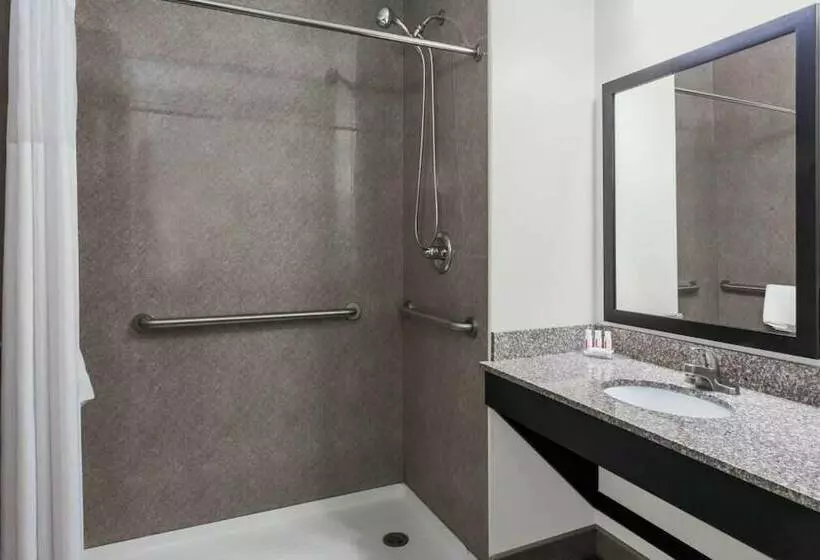 身障者適用スタンダードルーム, Days Inn & Suites By Wyndham Jamaica Jfk Airport