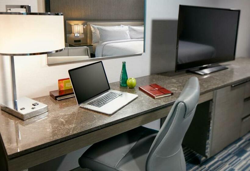 Номер Стандарт Кровать Кинг Адаптированный для Инвалидов, Hilton Garden Inn San Diego Downtown/bayside