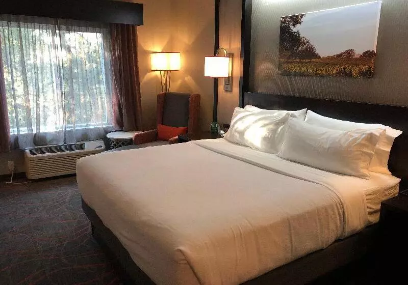 キングサイズベッドのデラックスルーム, Holiday Inn Windsor   Wine Country, An Ihg