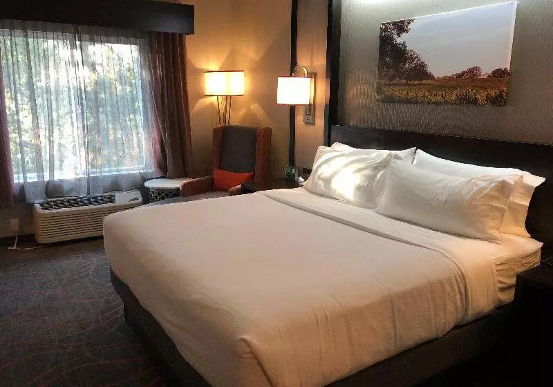キングサイズベッドのデラックスルーム, Holiday Inn Windsor   Wine Country, An Ihg