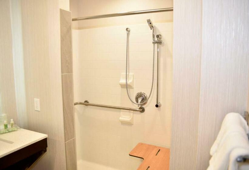 غرفة قياسية لذوى الاحتياجات الخاصة, Holiday Inn Windsor   Wine Country, An Ihg