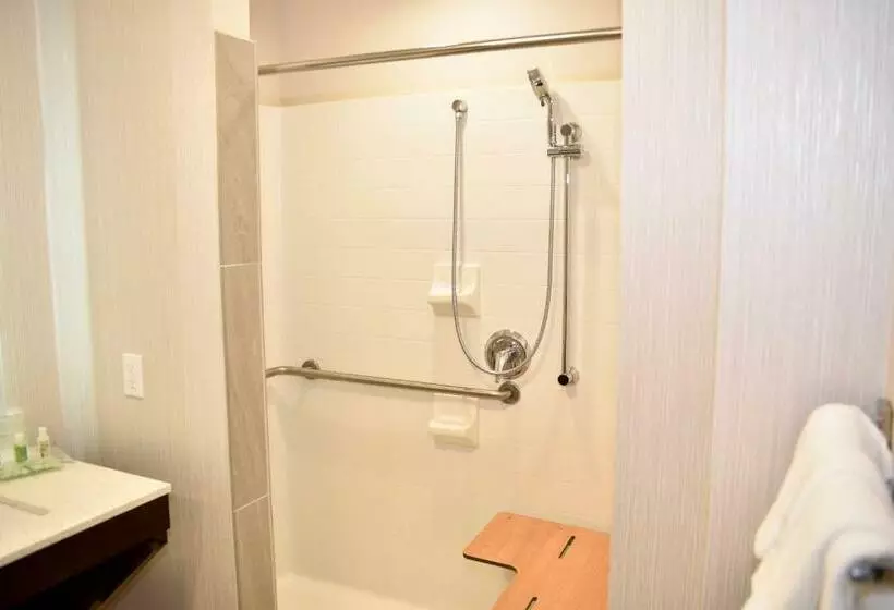 身障者適用スタンダードルーム, Holiday Inn Windsor   Wine Country, An Ihg