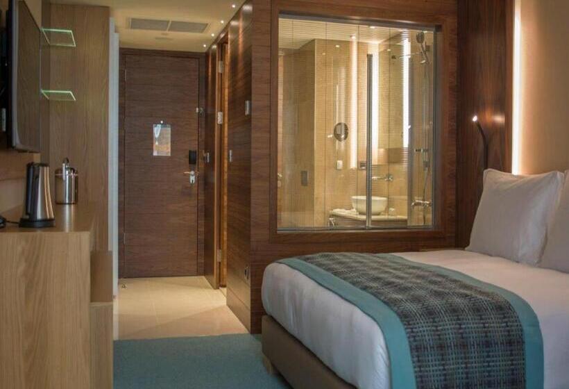 اتاق اجرایی, Radisson Blu M Bamou Palace Hotel, Brazzaville