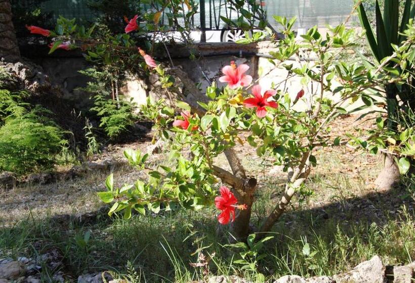 דירת שני חדרים, Casa Vacanze Cau   Viale Europa