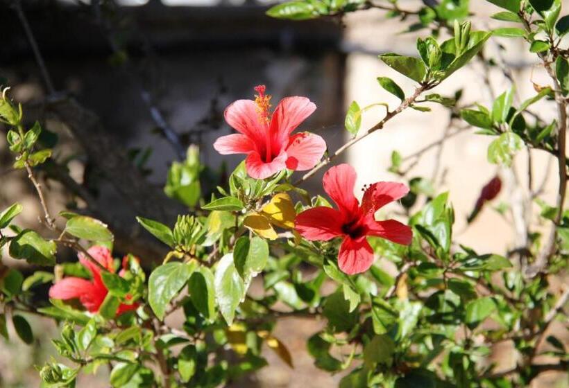 דירת שני חדרים, Casa Vacanze Cau   Viale Europa