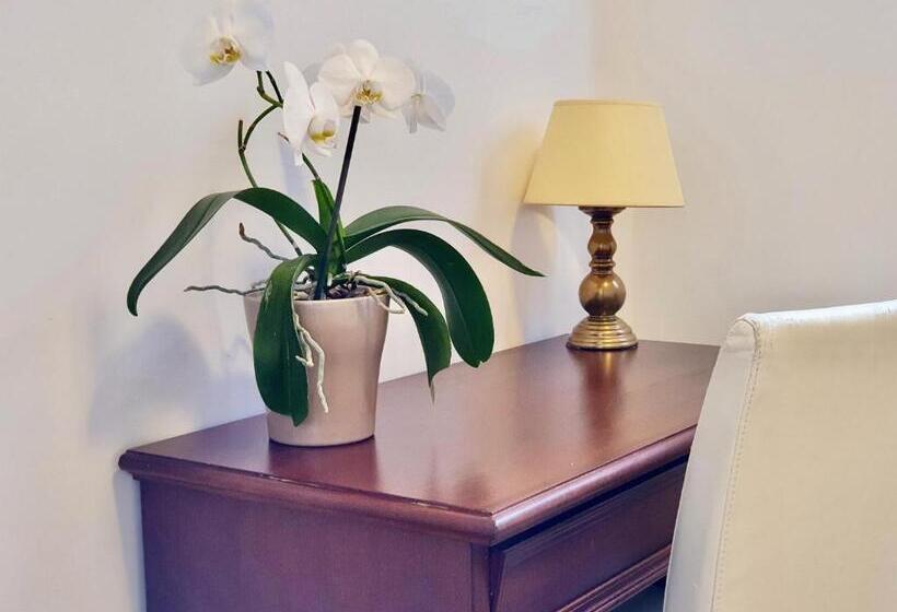 Chambre Economy, Aurora