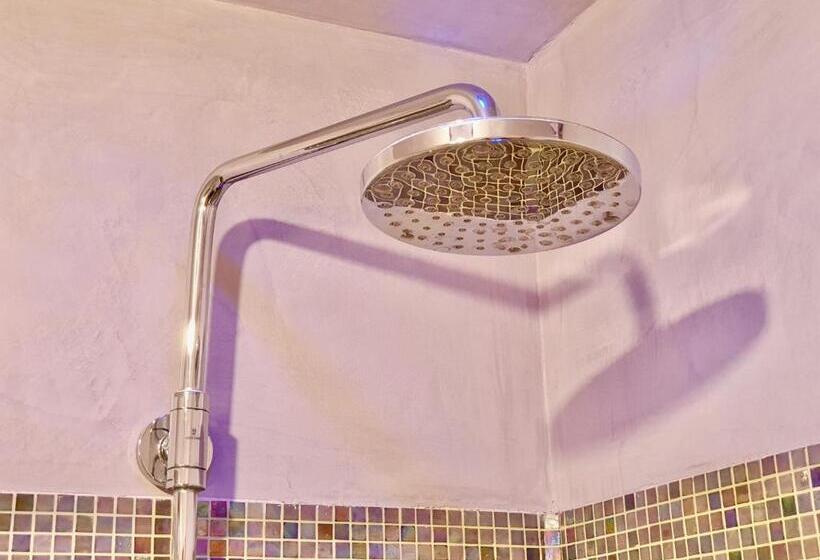 Chambre Standard Individuelle, Aurora