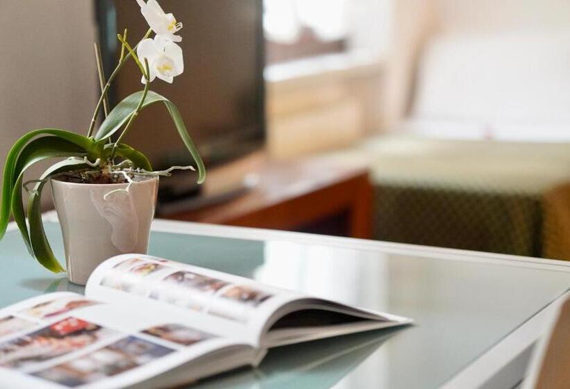 Studio Standard, Aurora