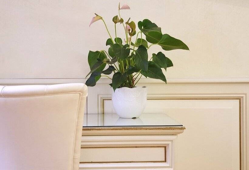 Junior Suite, Aurora