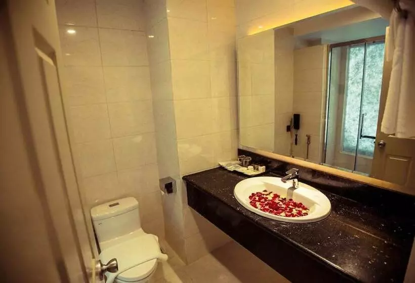 اتاق سوپریور, Hazel