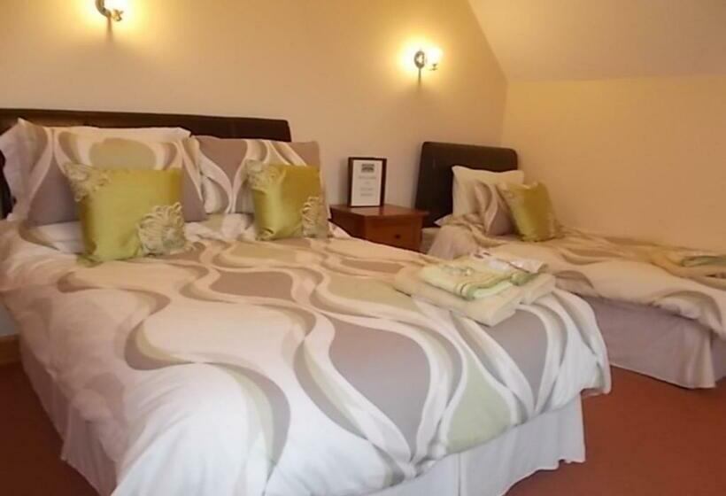 舒适三人间, Ocean Sound