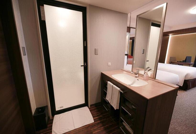 غرفة سوبيريور, Richmond Hotel Premier Tokyo Schole