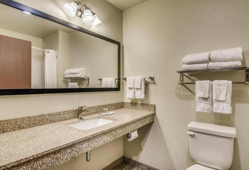 חדר סטנדרט, Cobblestone Inn & Suites   Big Lake