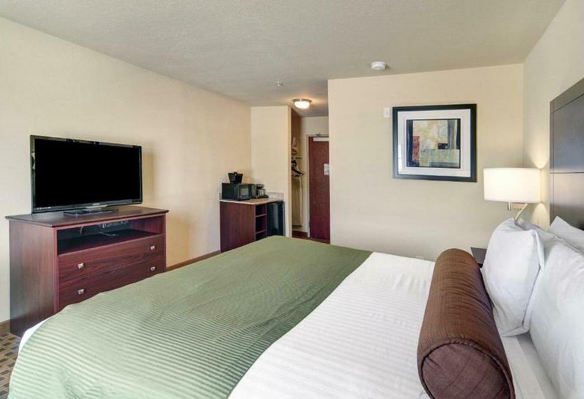 带大床的标准间, Cobblestone Inn & Suites   Big Lake