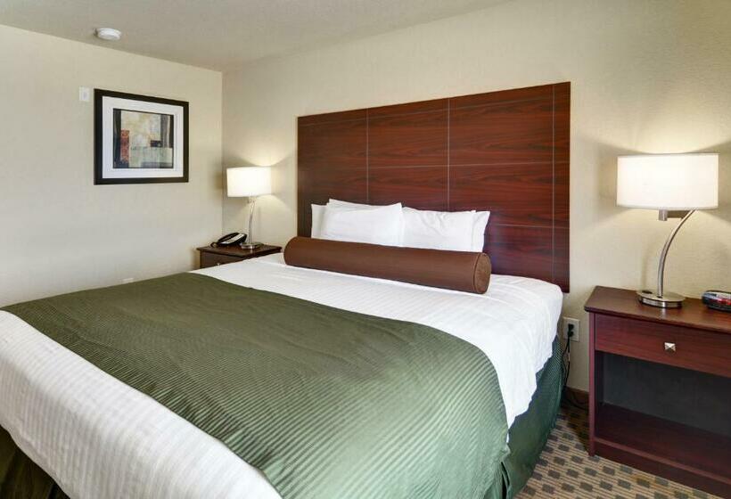 חדר סטנדרט עם מיטת קינג, Cobblestone Inn & Suites   Big Lake