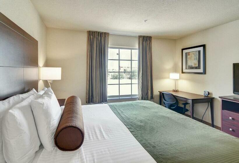 חדר סטנדרט עם מיטת קינג, Cobblestone Inn & Suites   Big Lake