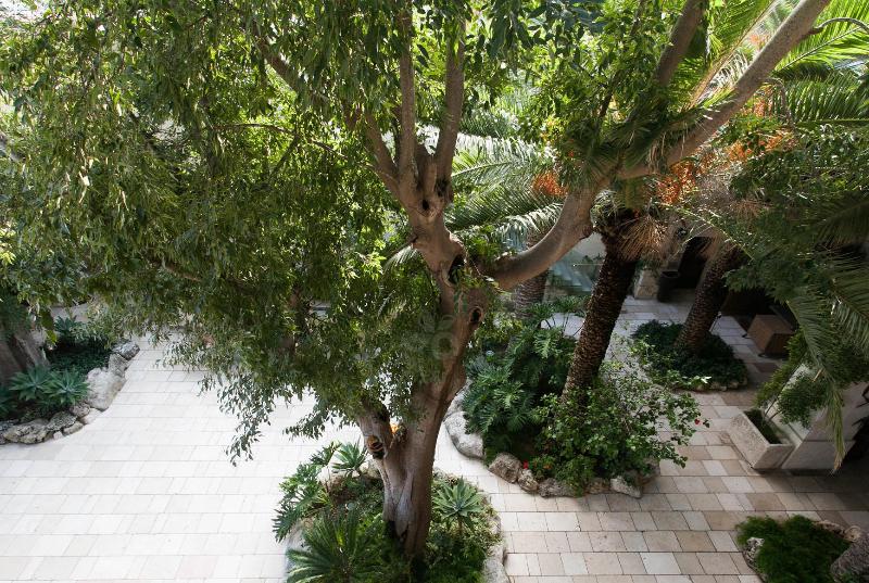 اتاق سوپریور, Torre Del Parco