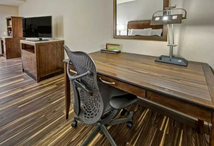 キングサイズベッドのスタンダードルーム, Hilton Garden Inn Nashville Brentwood