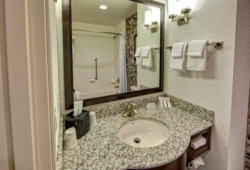 キングサイズベッドのスタンダードルーム, Hilton Garden Inn Nashville Brentwood