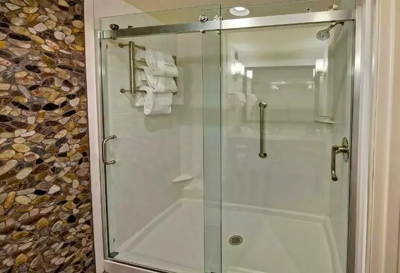 スタンダードルーム, Hilton Garden Inn Nashville Brentwood