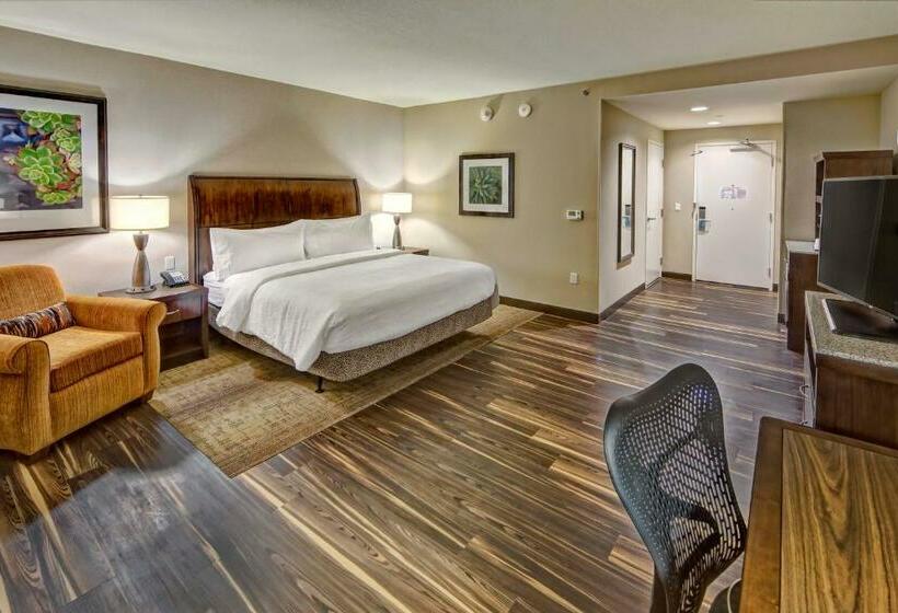 适合残疾人士使用的带超级大床的标准间, Hilton Garden Inn Nashville Brentwood