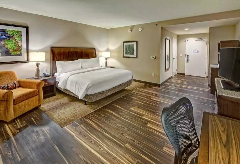 身障者適用キングサイズベッドルーム, Hilton Garden Inn Nashville Brentwood