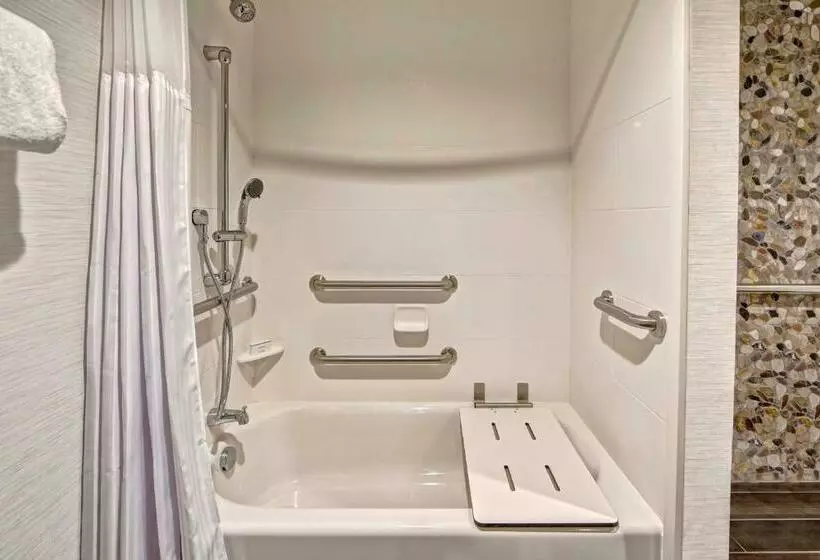 身障者適用キングサイズベッドルーム, Hilton Garden Inn Nashville Brentwood