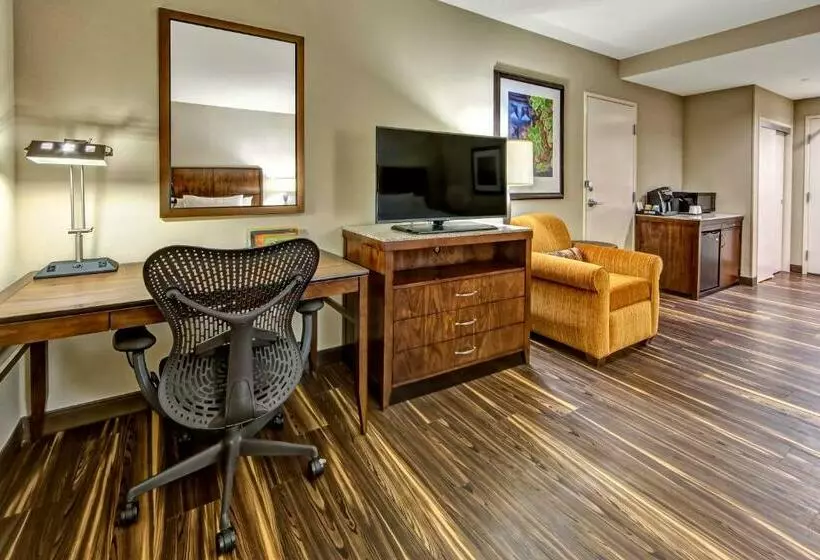 身障者適用キングサイズベッドルーム, Hilton Garden Inn Nashville Brentwood