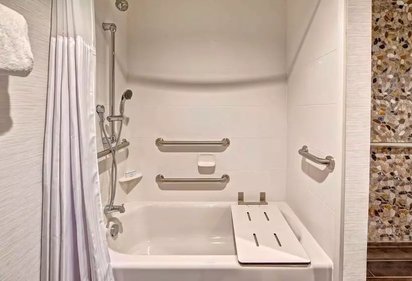 身障者適用キングサイズベッドルーム, Hilton Garden Inn Nashville Brentwood