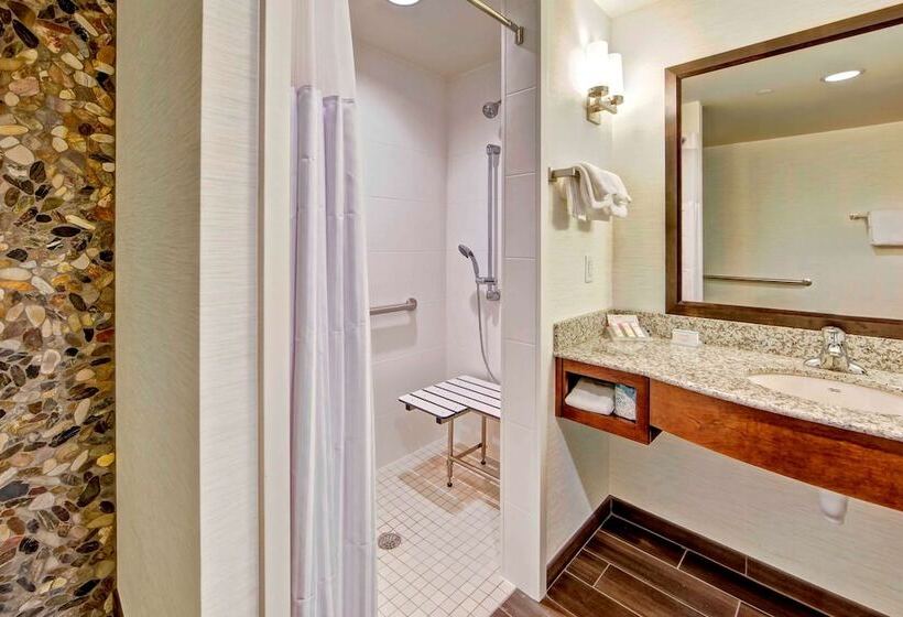 适合残疾人士使用的带超级大床的标准间, Hilton Garden Inn Nashville Brentwood