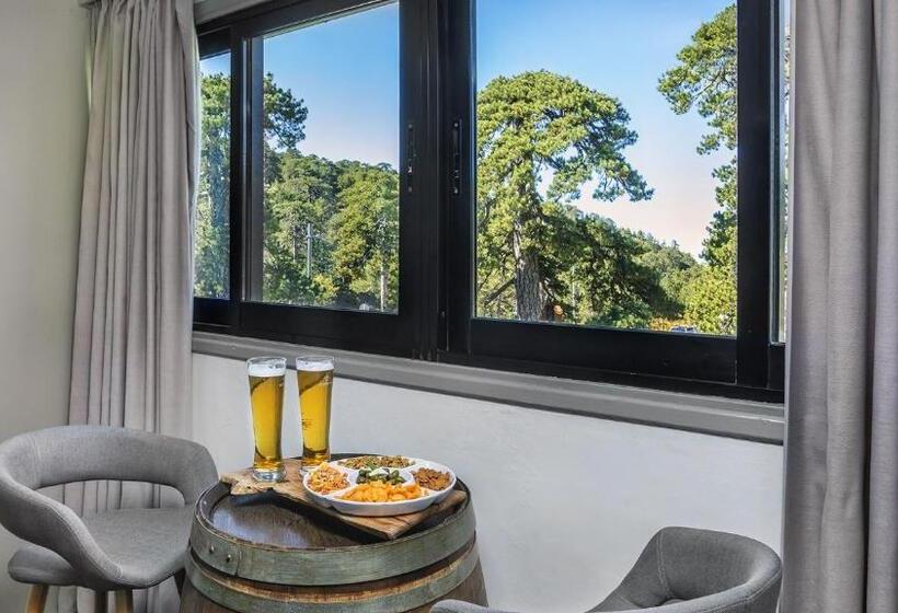 수피리어 룸, Troodos Hotel & Spa