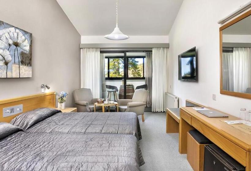 高级大房间, Troodos Hotel & Spa