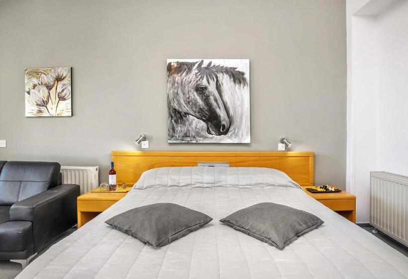 豪华房间, Troodos Hotel & Spa