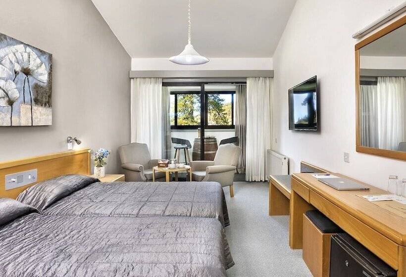 高级大房间, Troodos Hotel & Spa