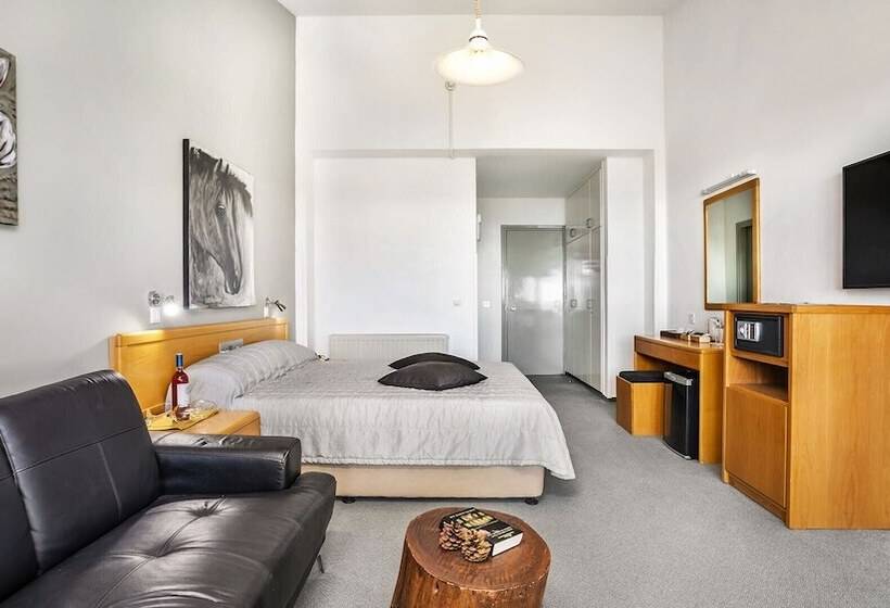 高级大房间, Troodos Hotel & Spa