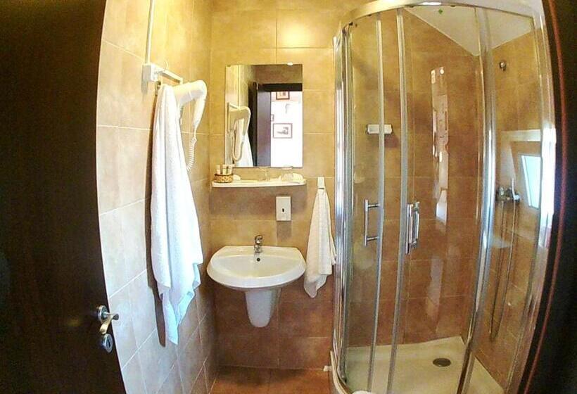 スタンダードシングルルーム, Pensiunea Fortuna