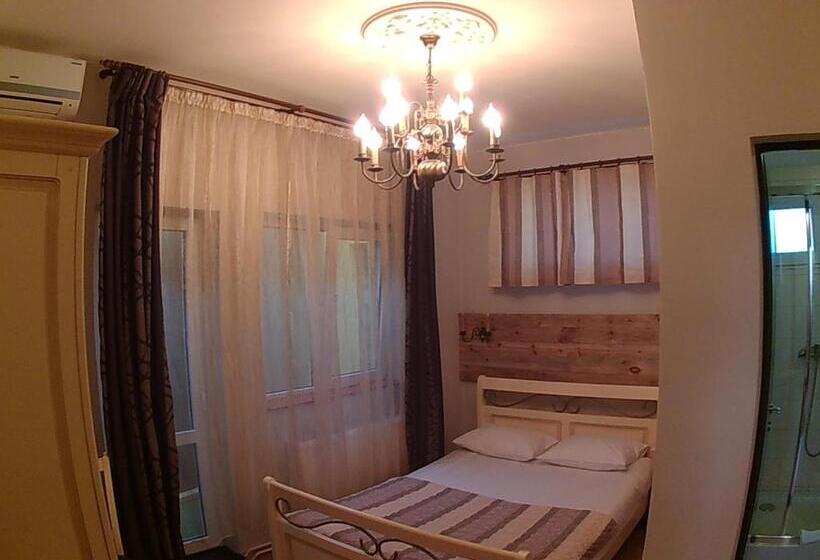 スタンダードシングルルーム, Pensiunea Fortuna