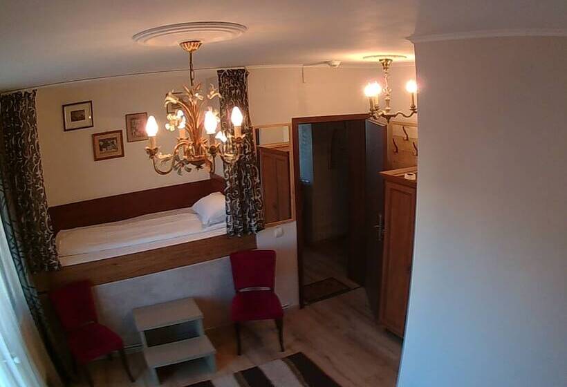 スタンダードシングルルーム, Pensiunea Fortuna